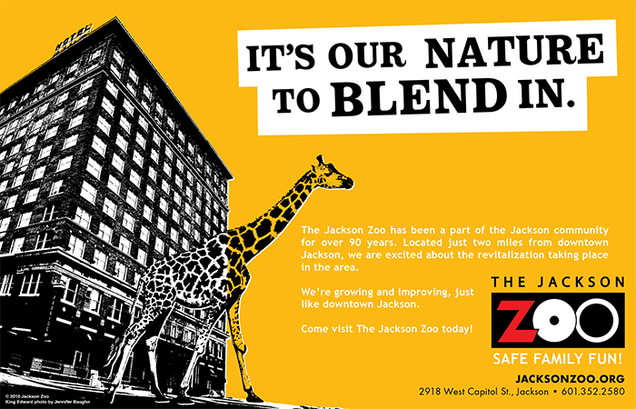 Boom_Jackson_Zoo_Ad